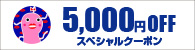 5000円クーポン
